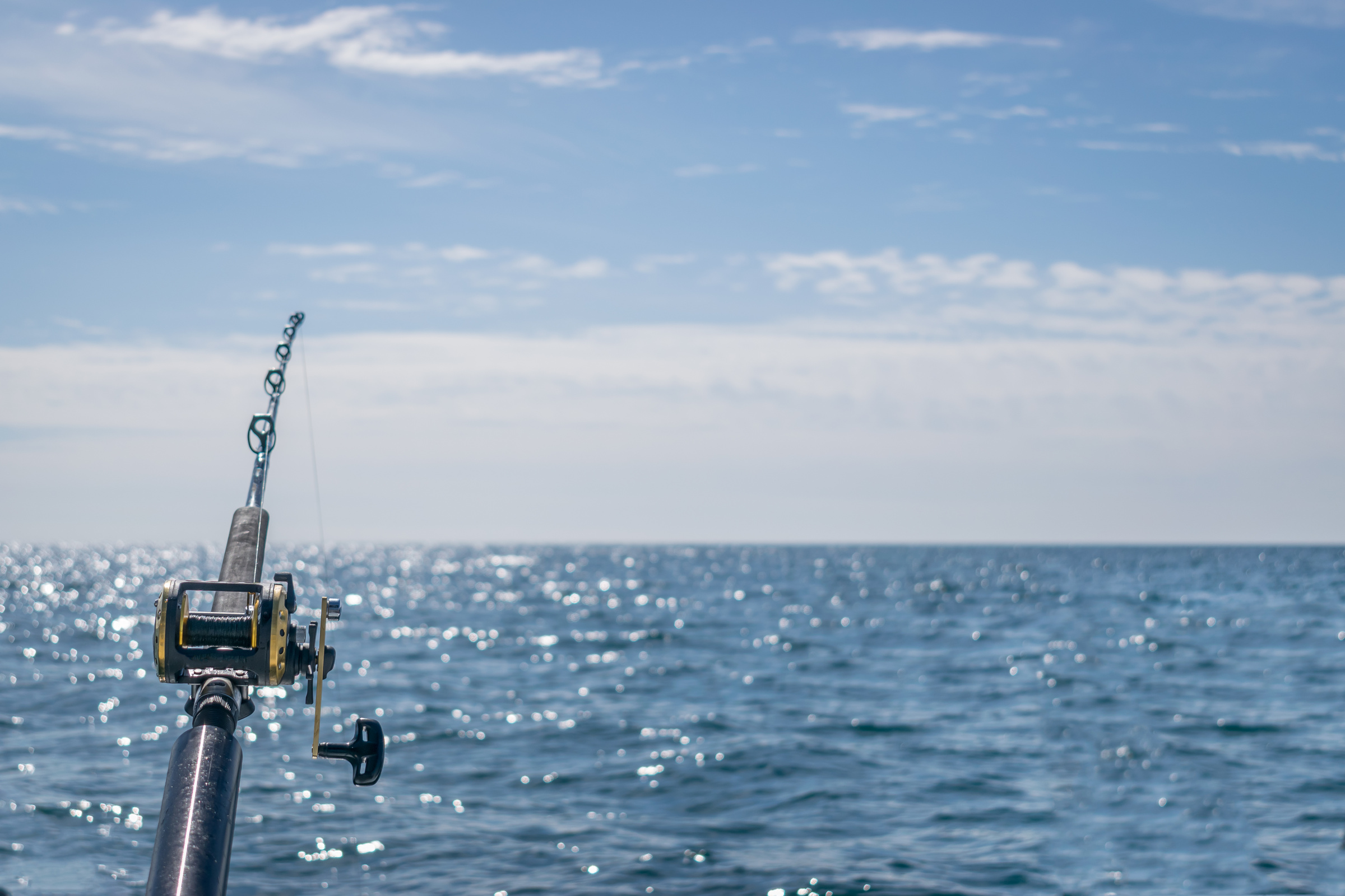 Fishing pole and ocean view